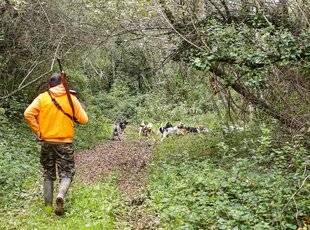 Grand Gibier 112 Chasse aux courants en zone industrielle