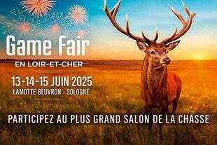 Grand Gibier 114 Game Fair