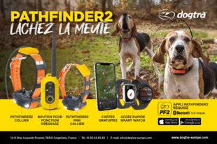 Grand Gibier 114 dogtra
