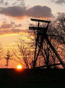 Grand Gibier 114 La chasse de nuit en question
