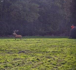Grand Gibier 115 Le plan de chasse : toujours pertinent ?