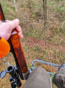 Grand Gibier 115 Traque-affût d'un autre genre