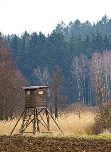 Grand Gibier 115 Secrets d'un bon territoire de chasse