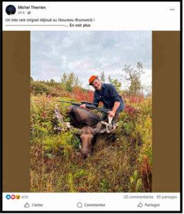 Grand Gibier 116 Facebook : un orig(i)nal