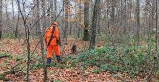 Grand Gibier 116 Recherche au sang : en plein boom