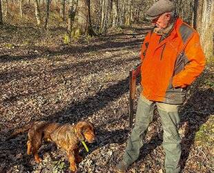 Grand Gibier 116 Connaissez-vous le basset des Alpes ?