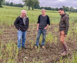 Grand Gibier 116 NOUVEAUX COMPORTEMENTS ET PLUS DE DÉGÂTS