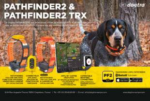 Grand Gibier 116 dogtra