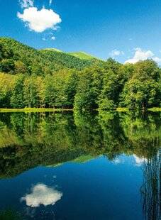 Grand Gibier 116 Acquérir un étang : du rêve à la réalité