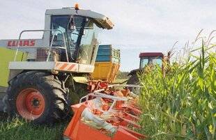 Grand Gibier 117 Pourquoi les effectifs peuvent encore grimper