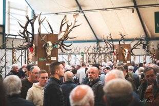 Grand Gibier 117 Deux salons à ne pas rater