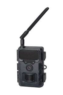 Grand Gibier 117 Ne ratez plus rien !