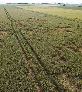 Grand Gibier 117 Les fédérations dans le rouge