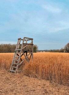 Grand Gibier 117 Forêt et chasse : l'alliance fait l'équilibre