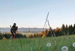 Grand Gibier 117 Bavière Une ouverture aux poils