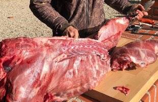 Grand Gibier 117 Venaison : dégustez sans risques !