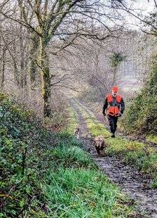 Grand Gibier 117 Chevreuil landais au chien courant