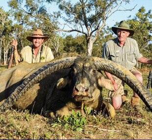 Grand Gibier 117 Grandes chasses en Australie