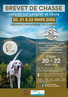 Grand Gibier 117 BREVET DE CHASSE SANS TIR EN PAYS CÉVENOL