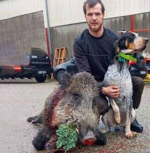 Grand Gibier 117 Joli solitaire aindinois