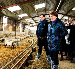 Grand Gibier 118 Loup Quotas relevés, tirs facilités