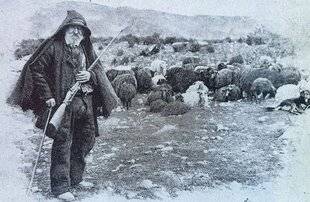 Grand Gibier 118 Évolution de la chasse du sanglier sur l'île de Beauté