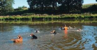 Grand Gibier 118 Ne pas tirer dans l'eau !