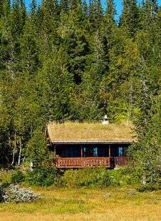 Grand Gibier 118 Une maison dans les bois, un rêve ?