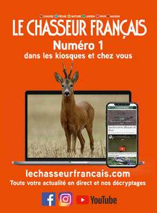 Grand Gibier 118 LE CHASSEUR FRANÇAIS