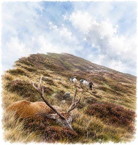 Grand Gibier 119 Cerf à l’approche dans les Highlands