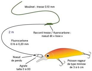Hors-Séries 101 Le montage poisson nageur pour la truite et la perche