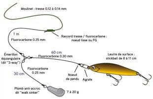 Hors-Séries 101 Montage pour faire descendre un poisson nageur