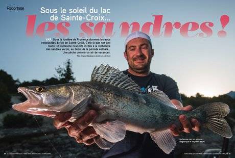 Hors-Séries 101 Les sandres