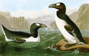 Hors-Séries 145 On ne verra plus le grand pingouin