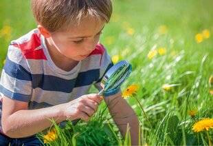 Hors-Séries 145 L'actualité de ce printemps