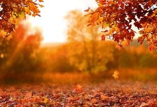 Hors-Séries 147 L'actualité de cet automne
