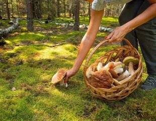 Hors-Séries 148 Projet « Tchernobyl +40 »