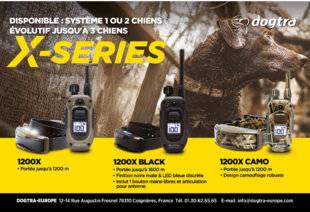 Hors-Séries 148 Dogtra