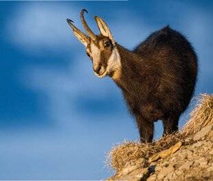 Hors-Séries 148 Avis aux aventuriers