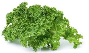 Hors-Séries 149 Le chou kale, légume d'hiver par excellence