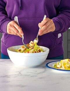 Hors-Séries 149 L'endive venue du Nord