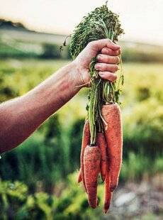 Hors-Séries 149 La carotte, douce et croquante