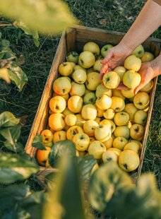 Hors-Séries 149 Octobre