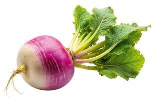 Hors-Séries 149 Le navet primeur, croquant et sucré