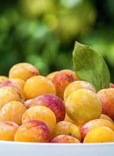 Hors-Séries 149 Août Gourmand