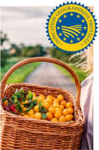 Hors-Séries 149 La mirabelle, juteuse et dorée