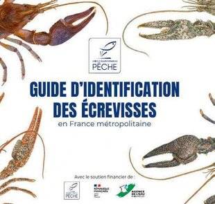 Hors-Séries 150 Le guide des écrevisses