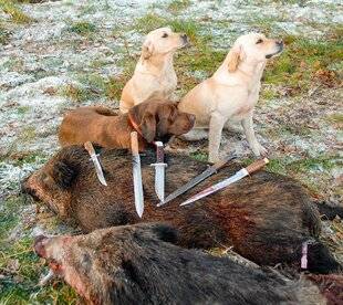 Hors-Séries 150 Dague et épieu :faites le bon choix