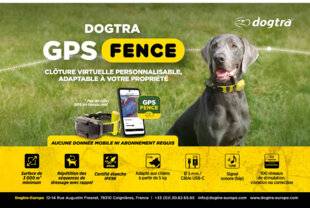 Hors-Séries 152 dogtra