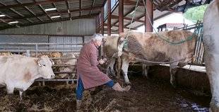 Le Chasseur Français 1466 Alerte sur les déserts vétérinaires
